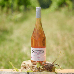 Rosé Zweigelt "Hochfeld"